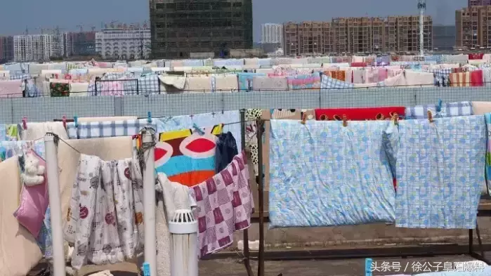 同学，我不想骗你！千万别报阜阳师范学院！