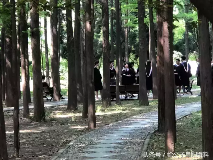 同学，我不想骗你！千万别报阜阳师范学院！