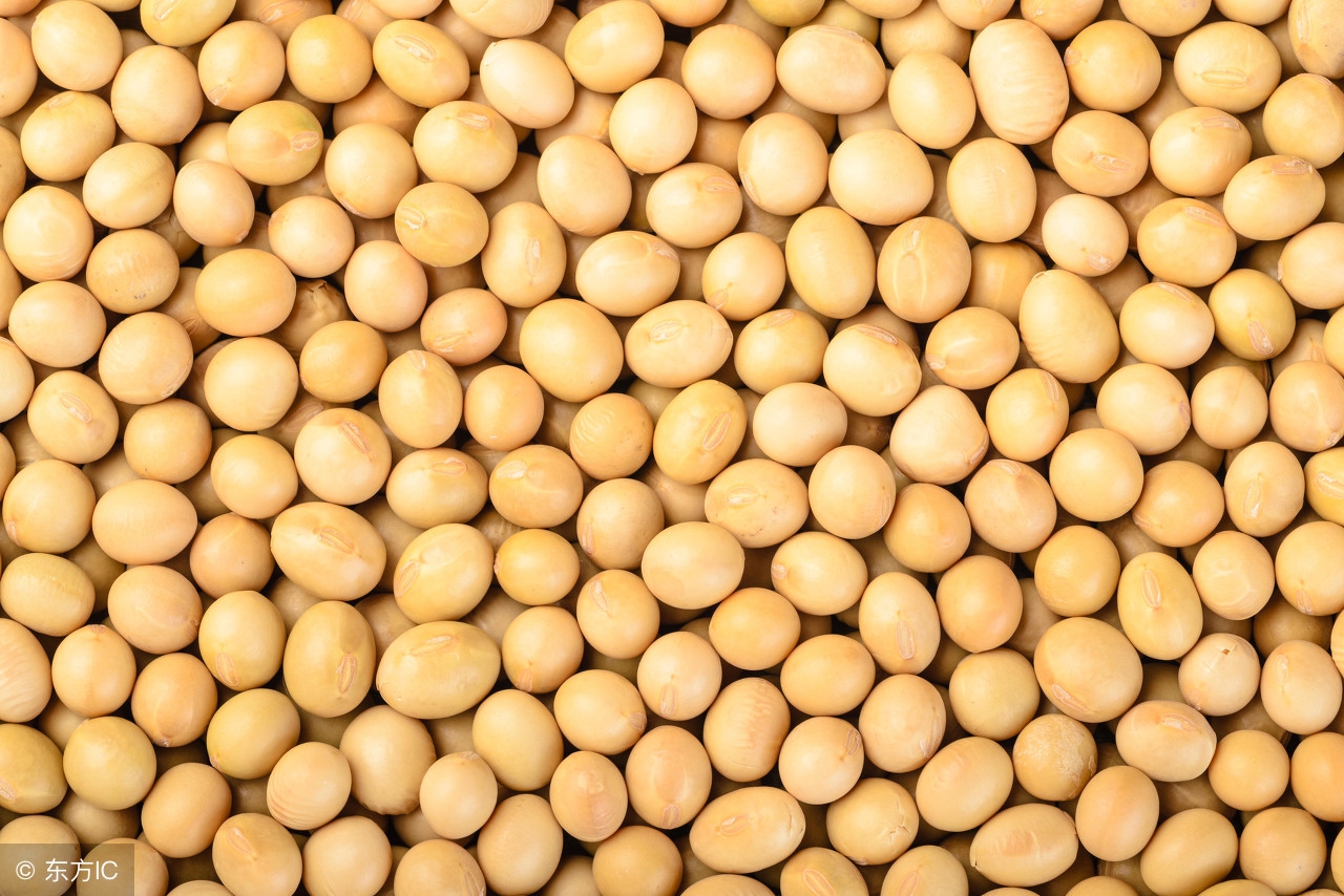 今天大豆多少钱一斤？近期黄豆价格走势分析