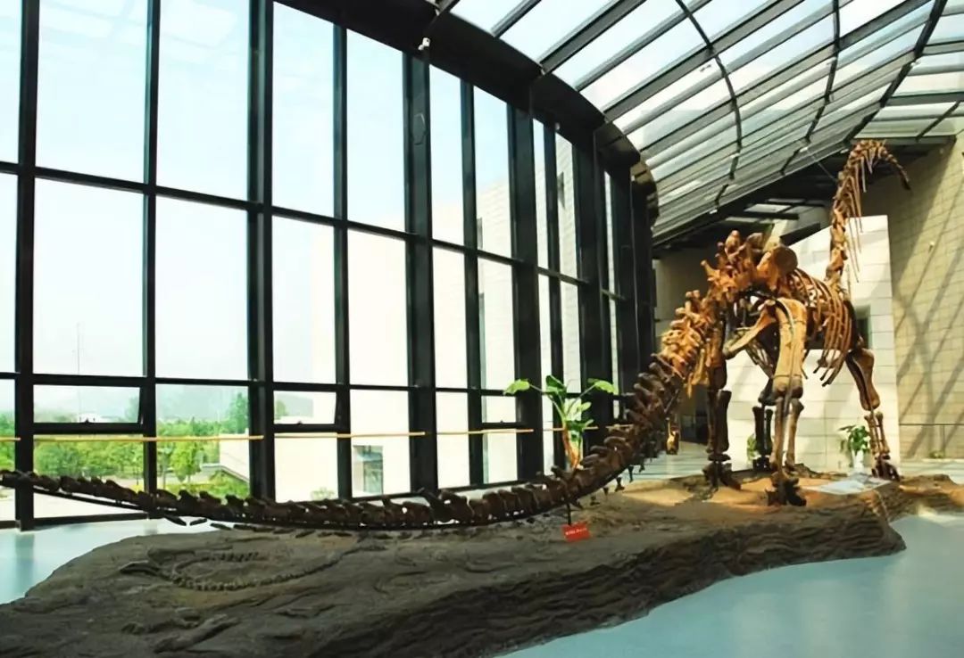 小煤球有大能量——中国矿业大学