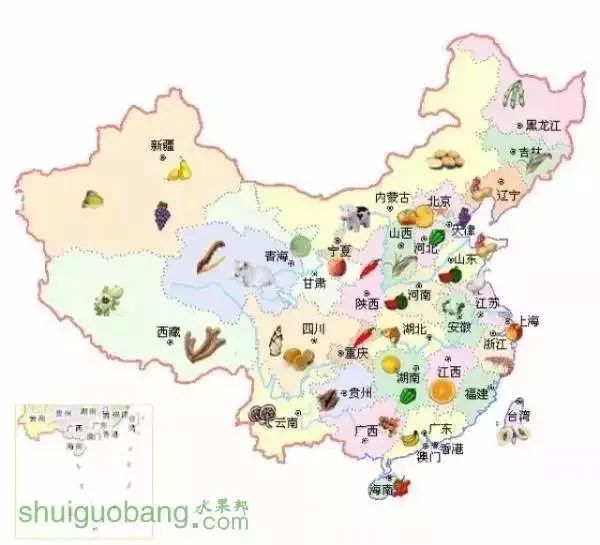 圣女果产地在哪（一张图看遍中国水果产地分布）