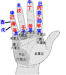 天干基础：甲、乙、丙、丁、戊、己、庚、辛、壬、癸