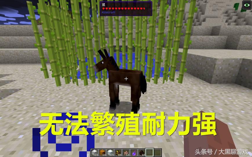 Minecraft所有可驯服生物，鹦鹉羊驼在列，驯服末影龙？没问题！