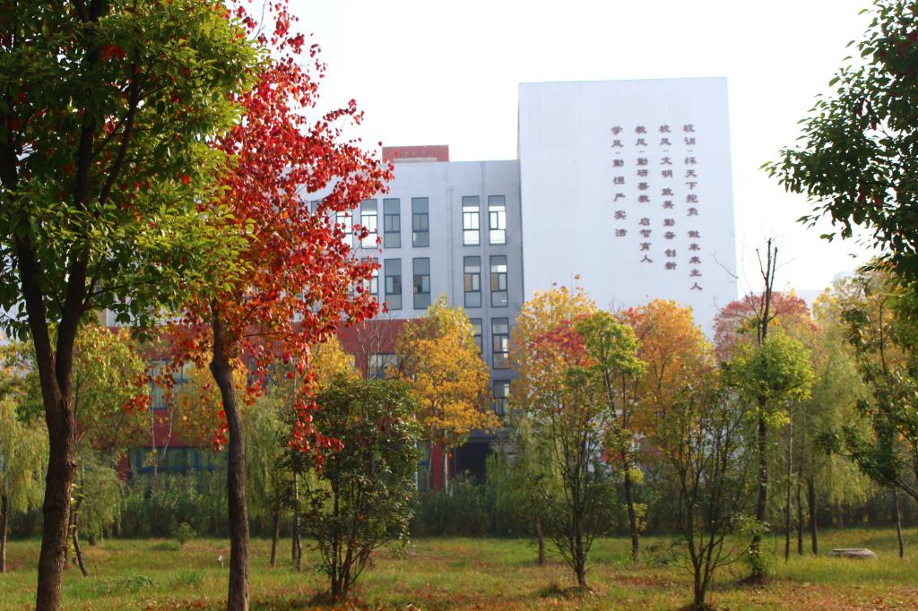 「填空题」这是一所？学校