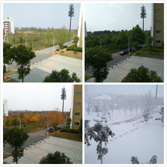 「填空题」这是一所？学校