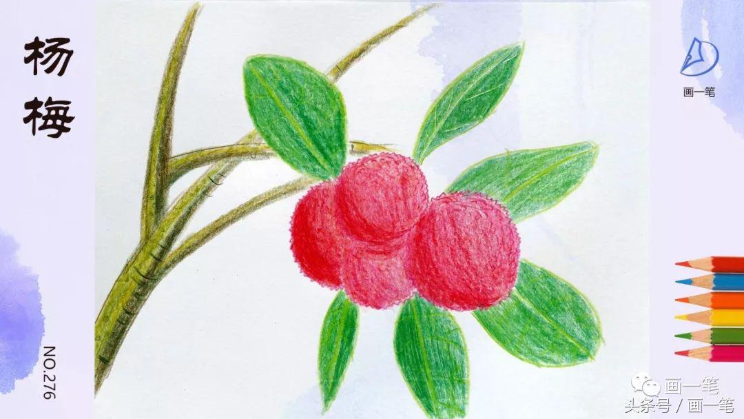 蜡笔画:柠檬中含有丰富的柠檬酸,因此被誉为"柠檬酸仓库"