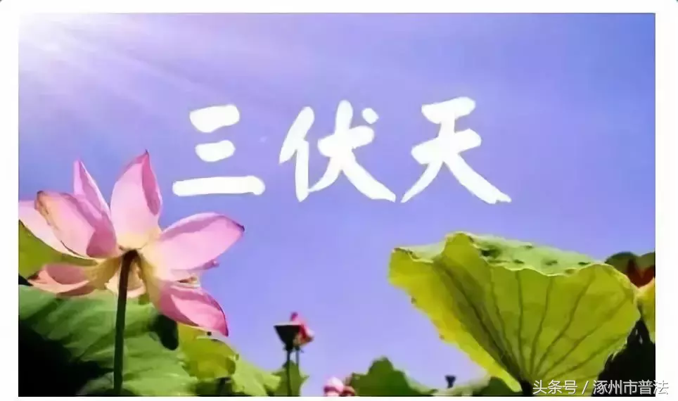 18个有关涿州人的最新通知,不可不知