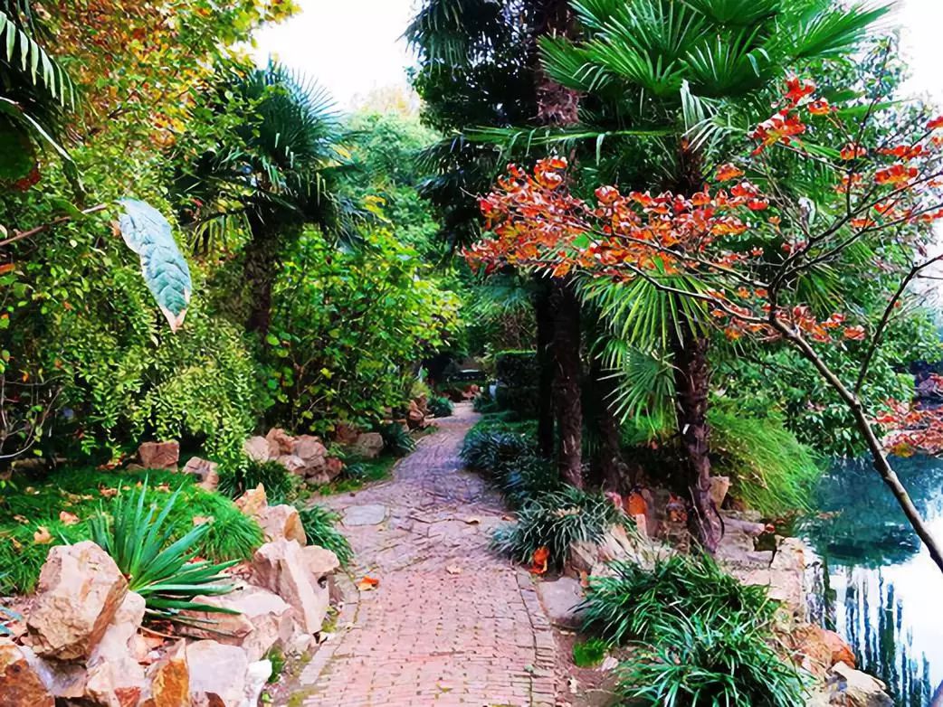 天堂就是丽娃河——华东师范大学