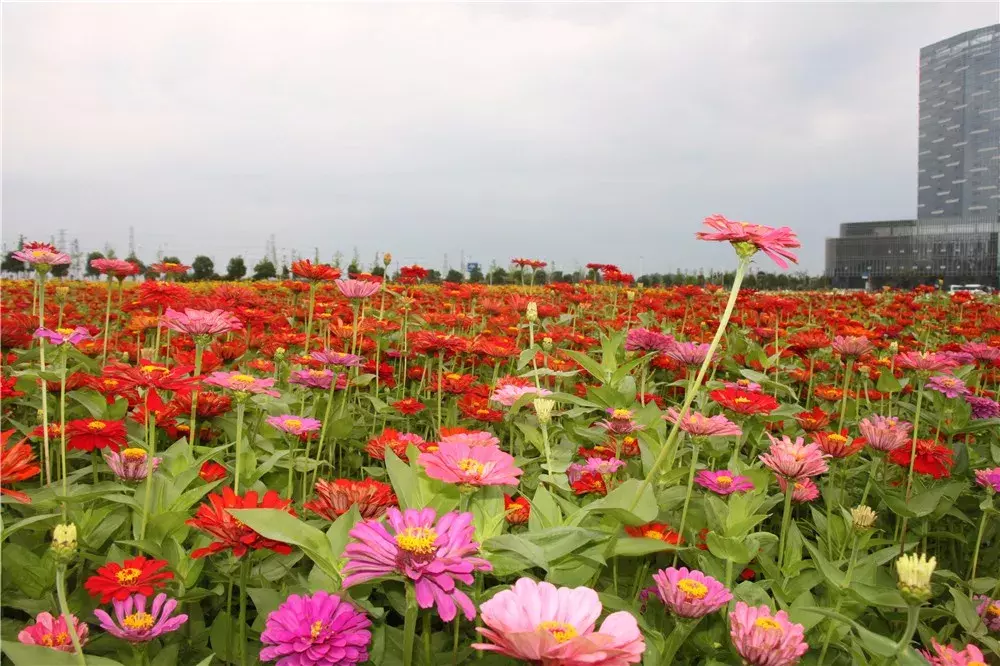 1å°�æ—¶è½¦ç¨‹ï¼�è¯¸æš¨éš”å£�æœ€é€‚å�ˆæ¸¸ç�©çš„è¿™åº§ç¾�ä¸½æ–°åŸ�ï¼Œä½ å�»è¿‡å�—ï¼Ÿ