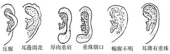 中国古代相法秘技：白话解析识人五法秘传歌诀（建议收藏）
