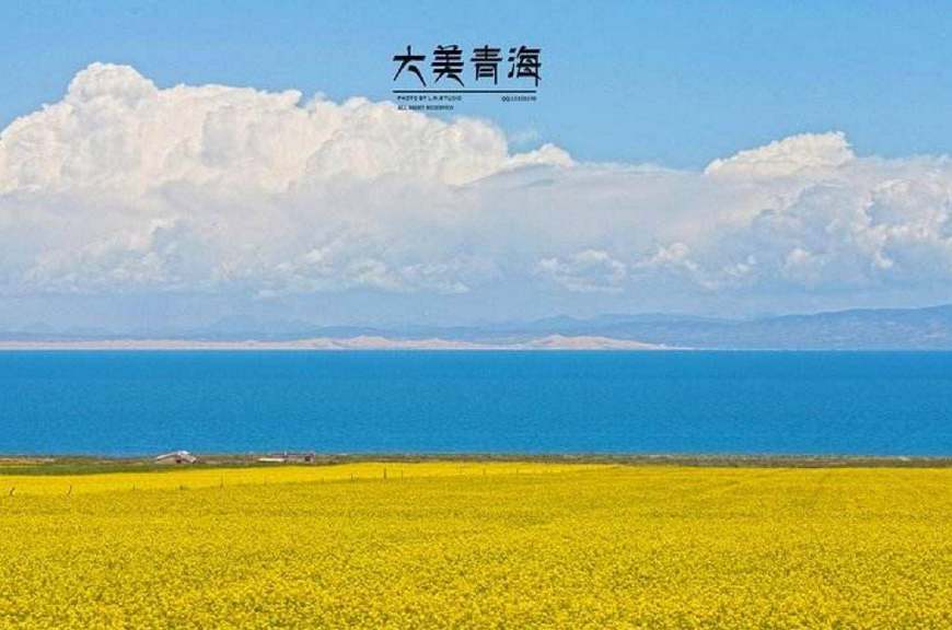 青海湖“四美”，七月最好看，最后一美是姑娘……