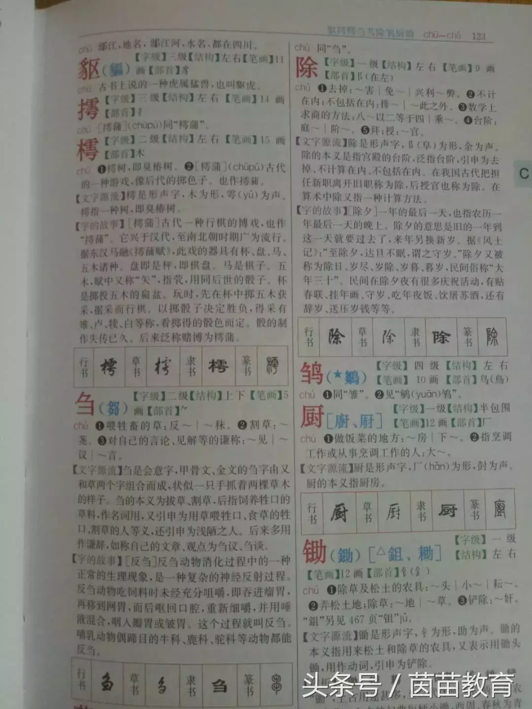 查字典，音节需不需要加声调？