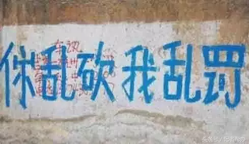 看看这些笑死人不偿命的农村标语!太有才了!都是谁写的?
