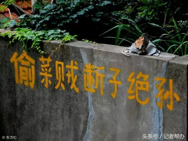 看看这些笑死人不偿命的农村标语!太有才了!都是谁写的?