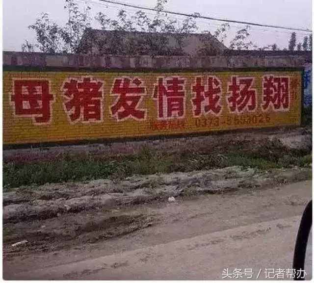 看看这些笑死人不偿命的农村标语!太有才了!都是谁写的?