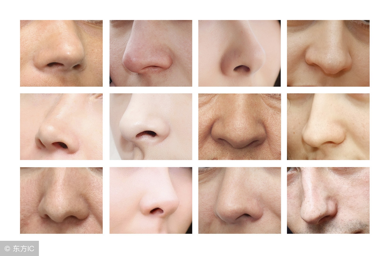 鼻翼是哪个部位 鼻翼代表哪个器官 - 汽车时代网