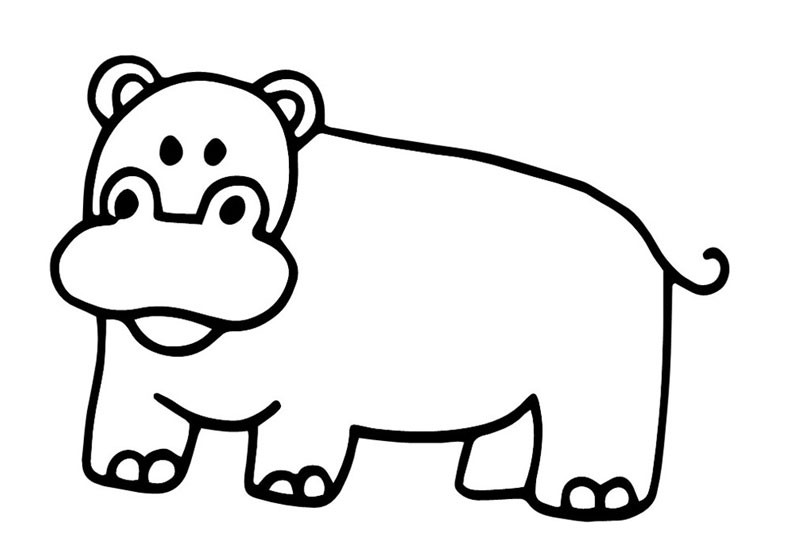 简笔画大象(犀牛,河马,大象,袋鼠等常见动物基础简笔画素材整理收藏