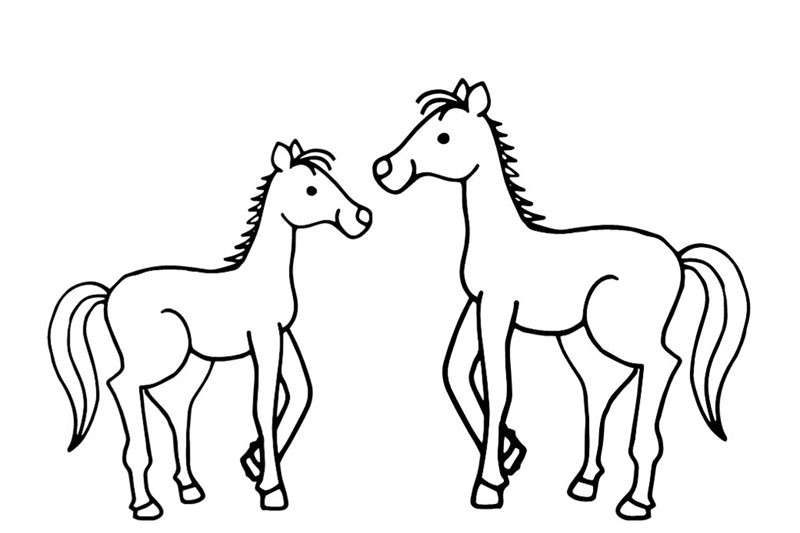 简笔画大象(犀牛,河马,大象,袋鼠等常见动物基础简笔画素材整理收藏