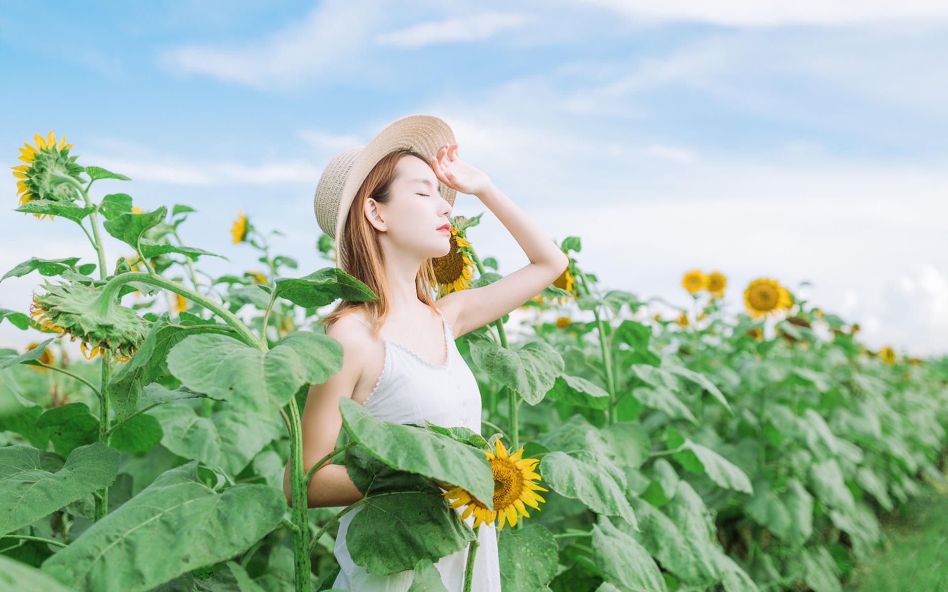 ���˿��ҵ�����о���Ҫ���ҳ��ˣ���֪ԭ����ŵ��Ҿ���ʧ��(2)