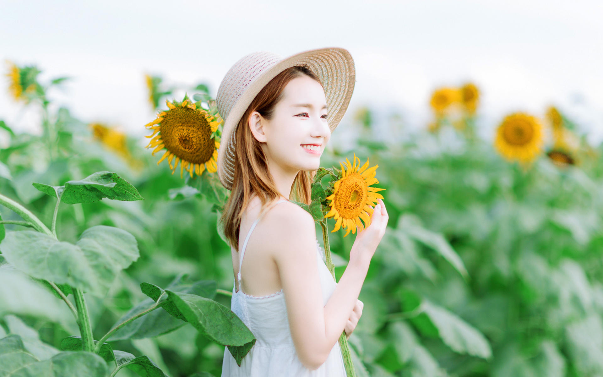 ���˿��ҵ�����о���Ҫ���ҳ��ˣ���֪ԭ����ŵ��Ҿ���ʧ��(2)