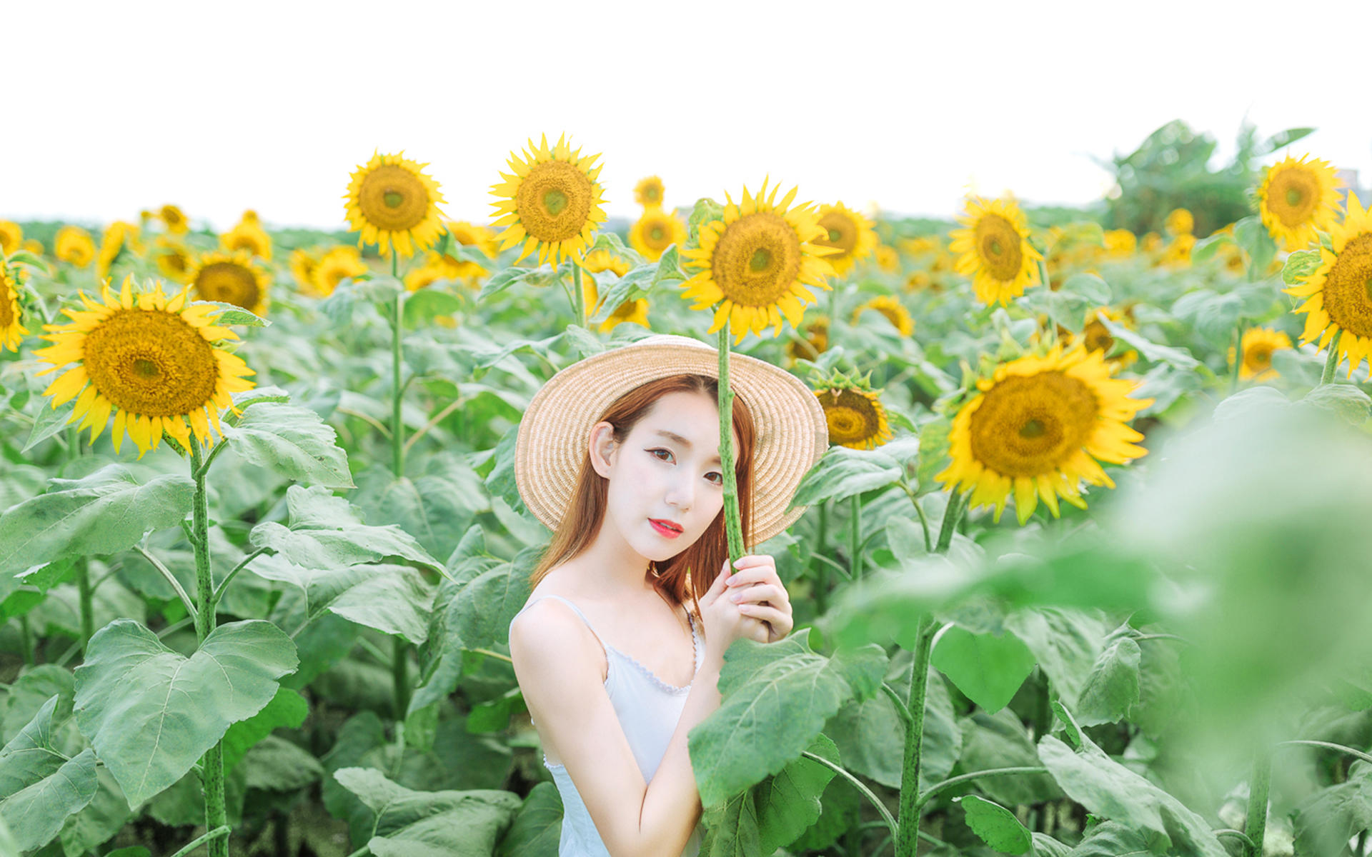 ���˿��ҵ�����о���Ҫ���ҳ��ˣ���֪ԭ����ŵ��Ҿ���ʧ��(2)
