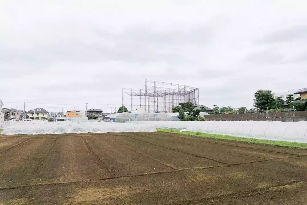 摄影专业世界排名最高的顶级院校有哪些？