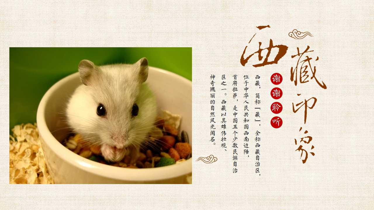 十二生肖满面皱纹的动物_晶羽科技