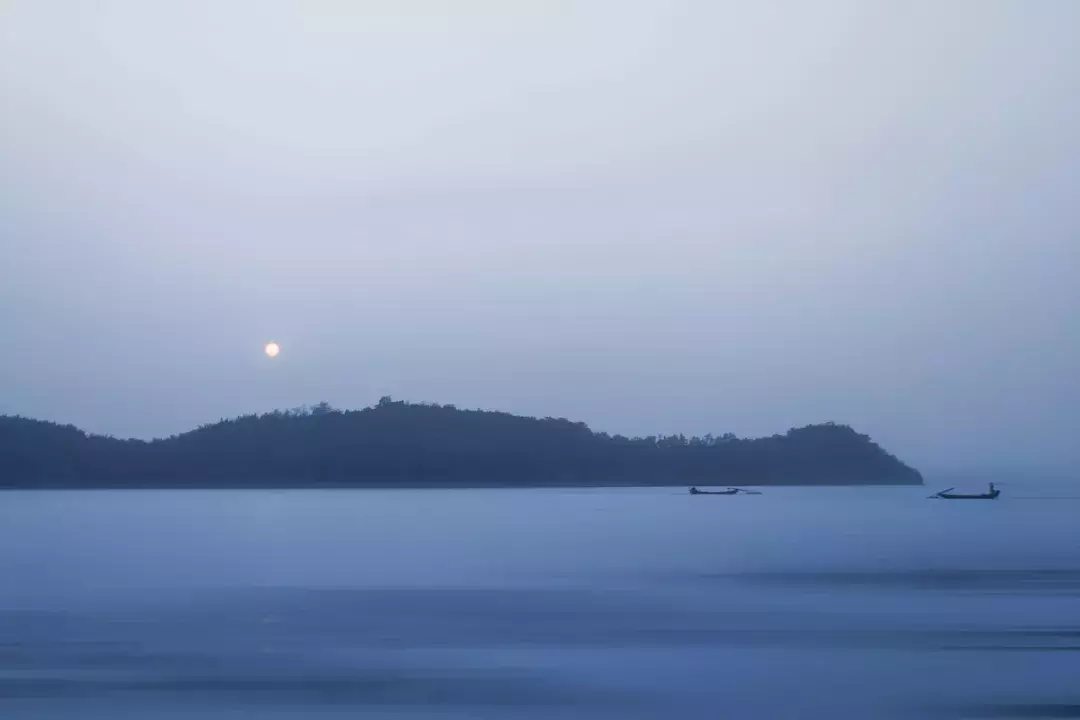 十首淡泊诗词：采菊东篱下，悠然见南山