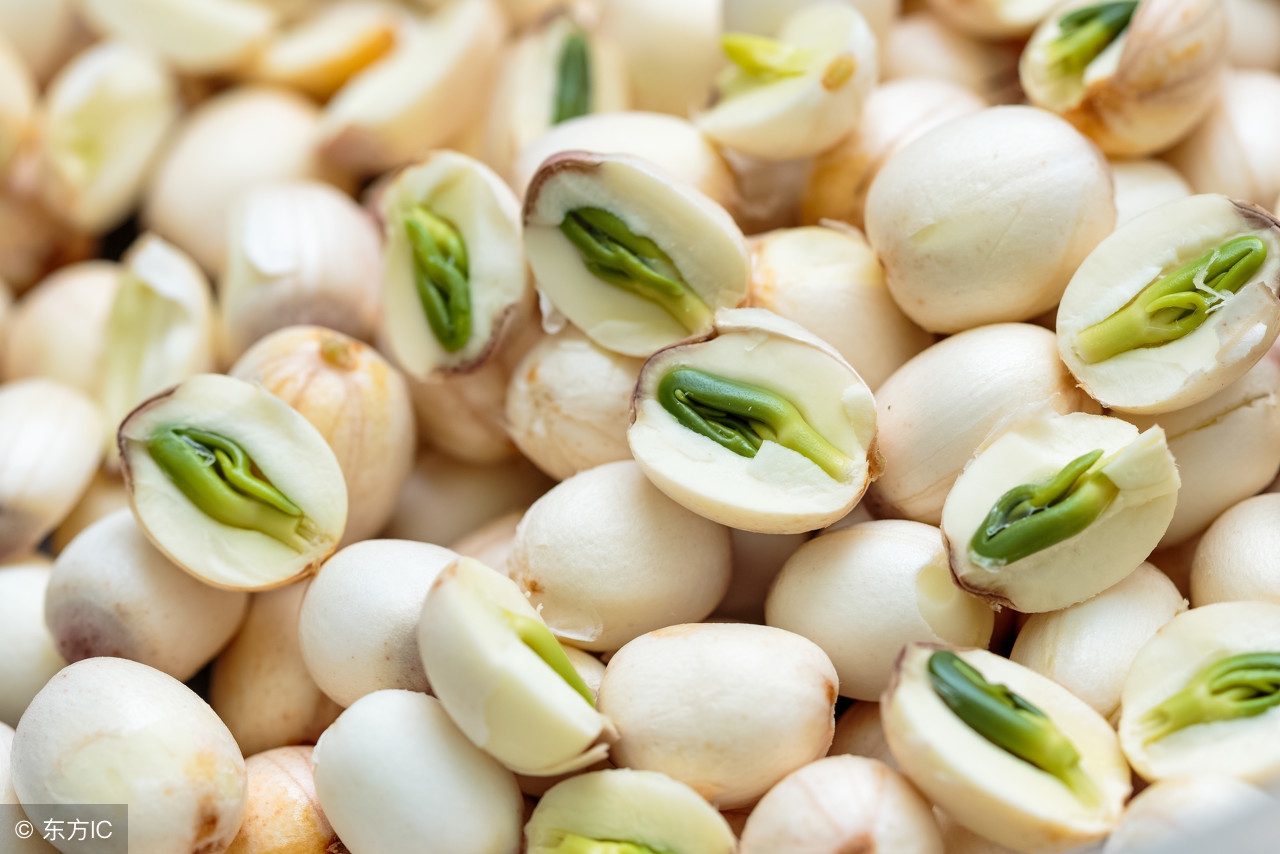 莲子心的功效与作用(安神助眠还去火) | 红五百科