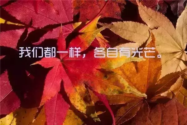 最新晚安励志心语正能量句子，唯美晚安图片