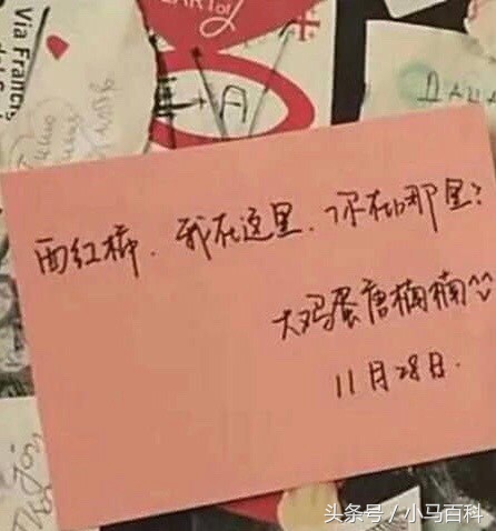 都说字如其人？快来看看这几位当红女星的字迹！