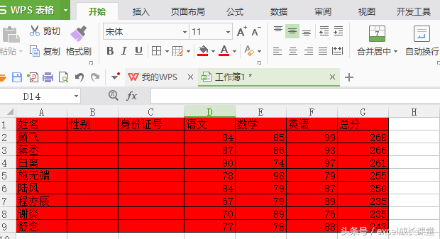Excel中如何设置数据有效性以规范输入内容
