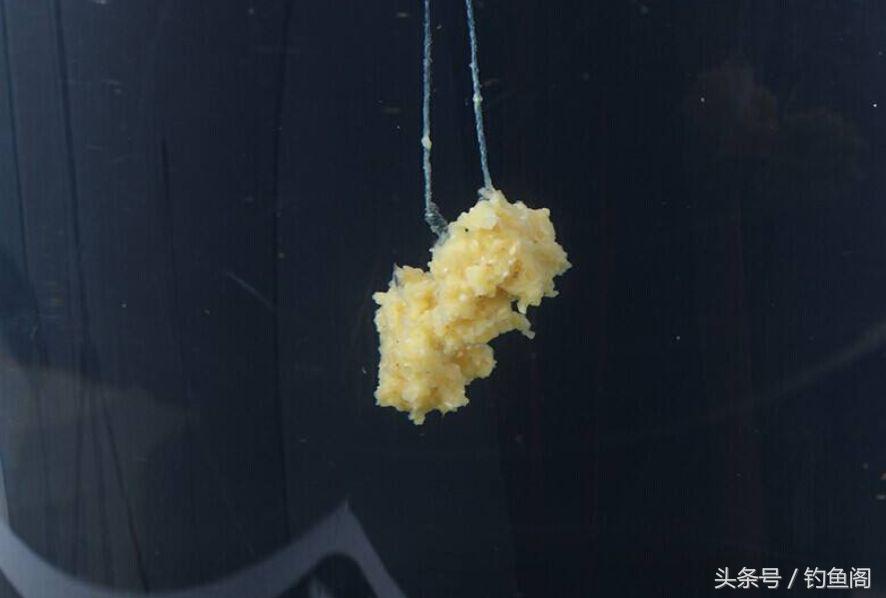 这10款钓鲫鱼的经典饵料你用过没(这10款钓鲫鱼的经典饵料你用过没有)