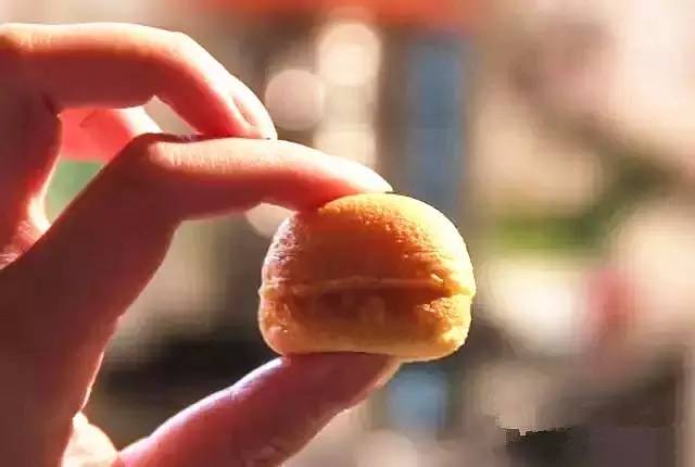 性侵？学术？广东头牌？中山（双鸭山）大学的真实一面尽在堕落街