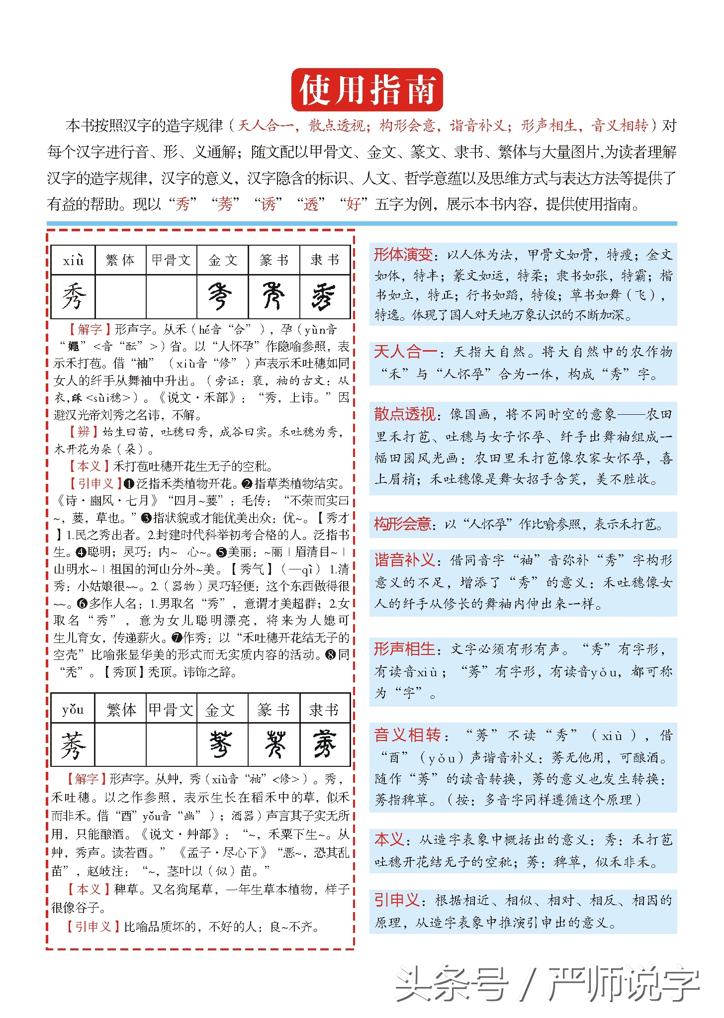 《中华字通》告诉你研究汉字应该知道的基础知识和基本方法