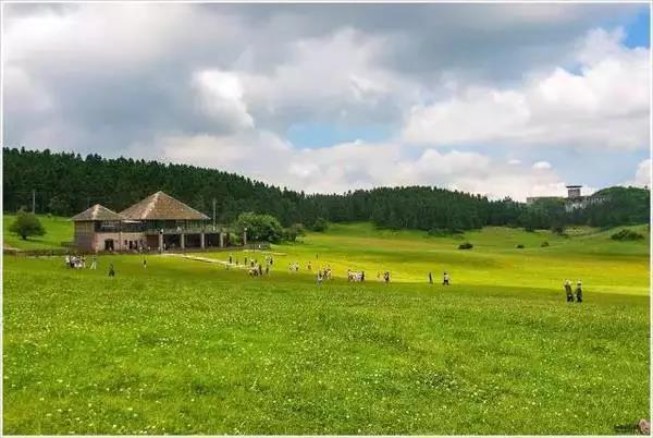 露营、骑马、避暑！重庆居然藏这16个草原，有的夏天温度只有17℃