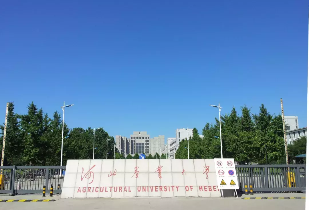 河北农业大学校训图片