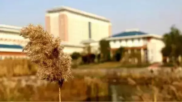 最全收录!关于河北农大,你想知道的都在这了(一)