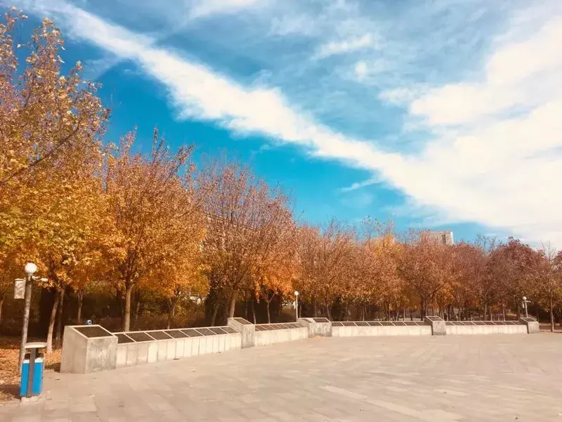 最全收录!关于河北农大,你想知道的都在这了(一)