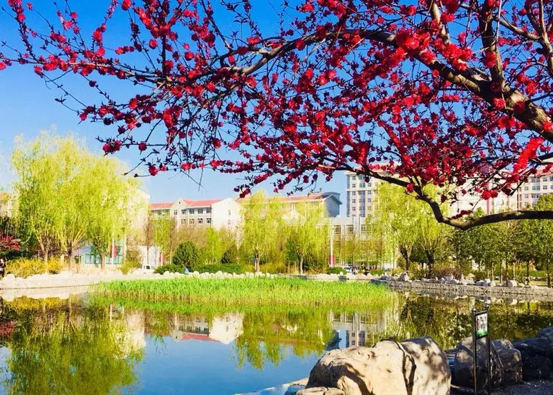 最全收录!关于河北农大,你想知道的都在这了(一)