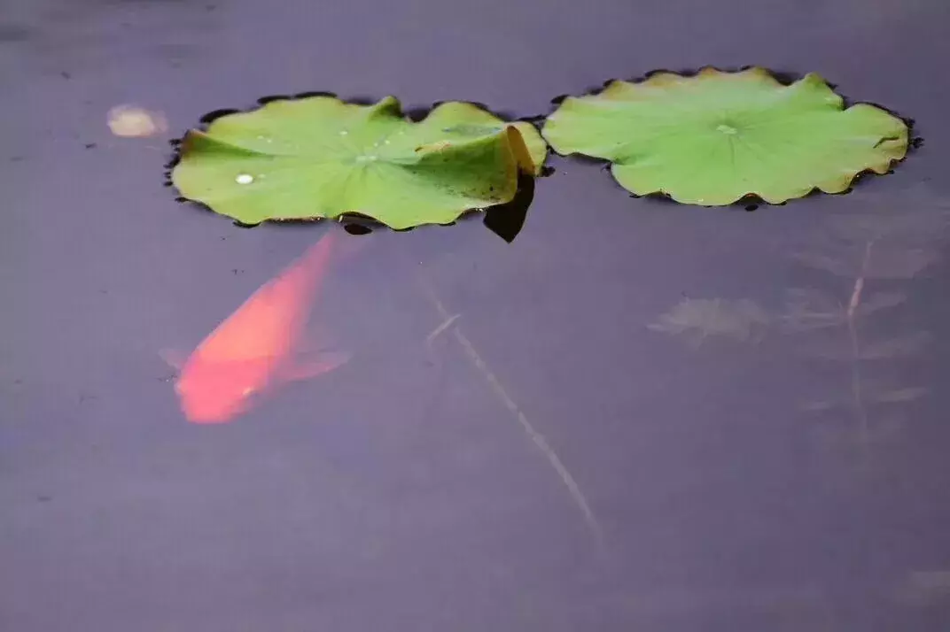 最全收录!关于河北农大,你想知道的都在这了(一)