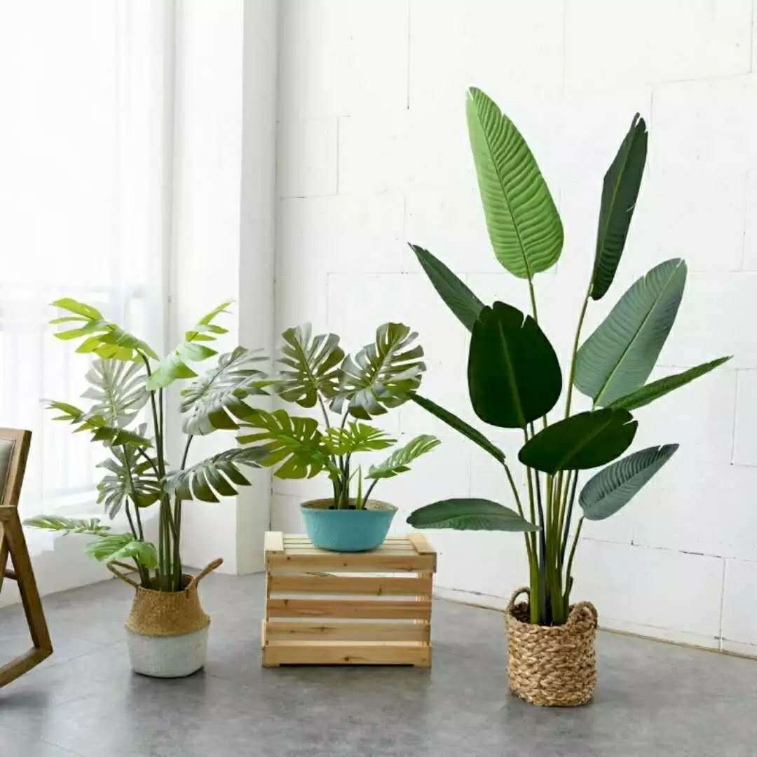 保定租房｜你必须要知道的租房攻略