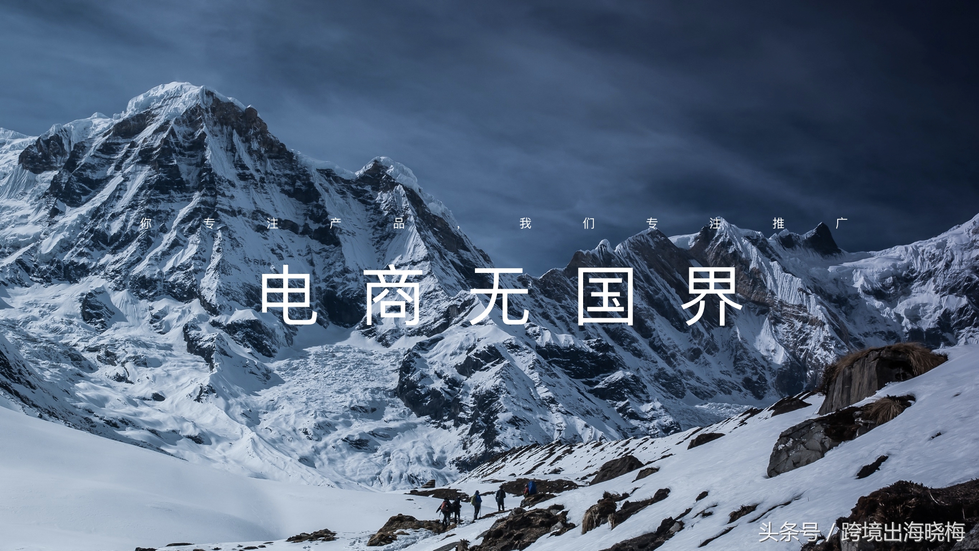 深圳荟网：亚马逊培训、终身免费培训、产品推广、亚马逊开店