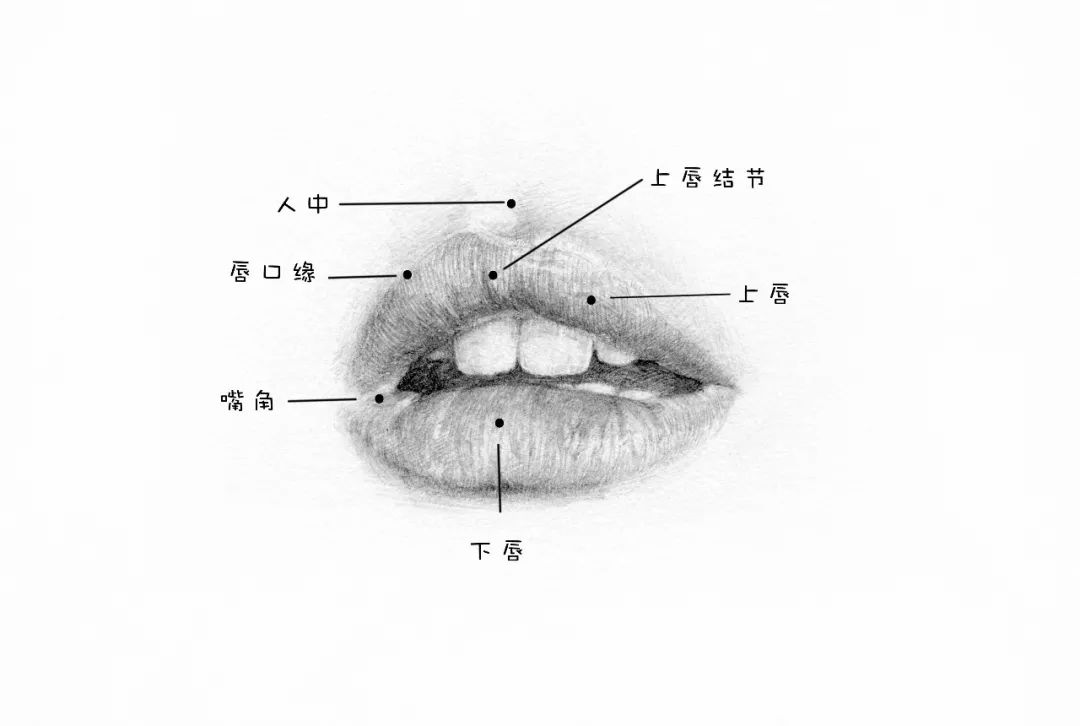 如何画嘴巴，这是我见过最好的教程！
