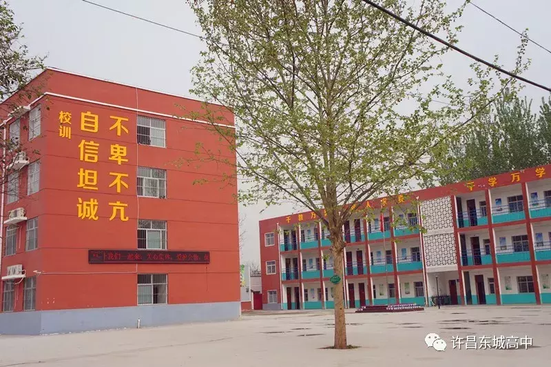 准高一新生看过来，最详细初升高暑假学习指南
