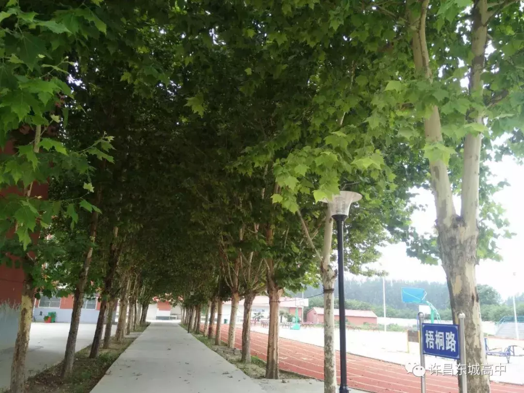 准高一新生看过来，最详细初升高暑假学习指南