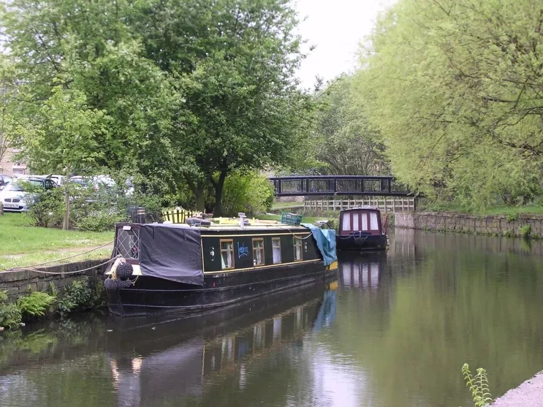 中考自主招生4+1，仅需4年可直升英国公立大学本科最后一年(5年总学费30万）