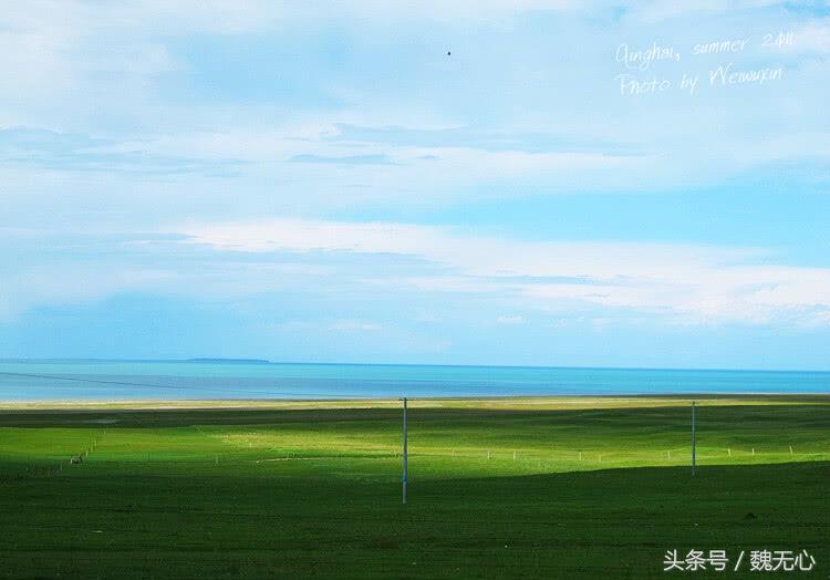 环绕青海湖，欣赏纯粹美景，吃自制老酸奶，这就是天堂