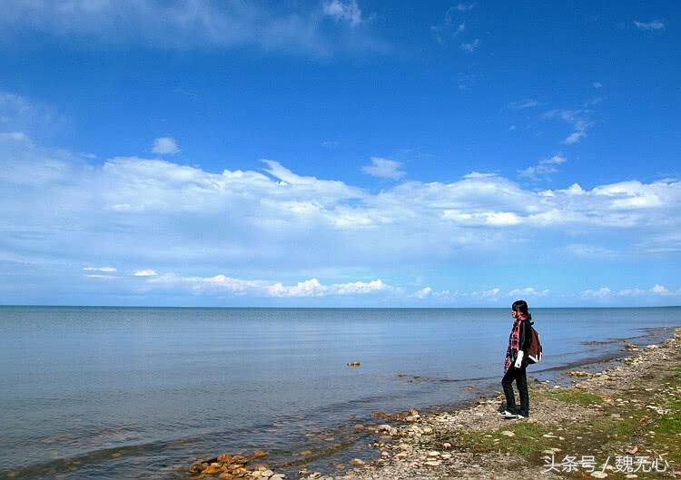 环绕青海湖，欣赏纯粹美景，吃自制老酸奶，这就是天堂