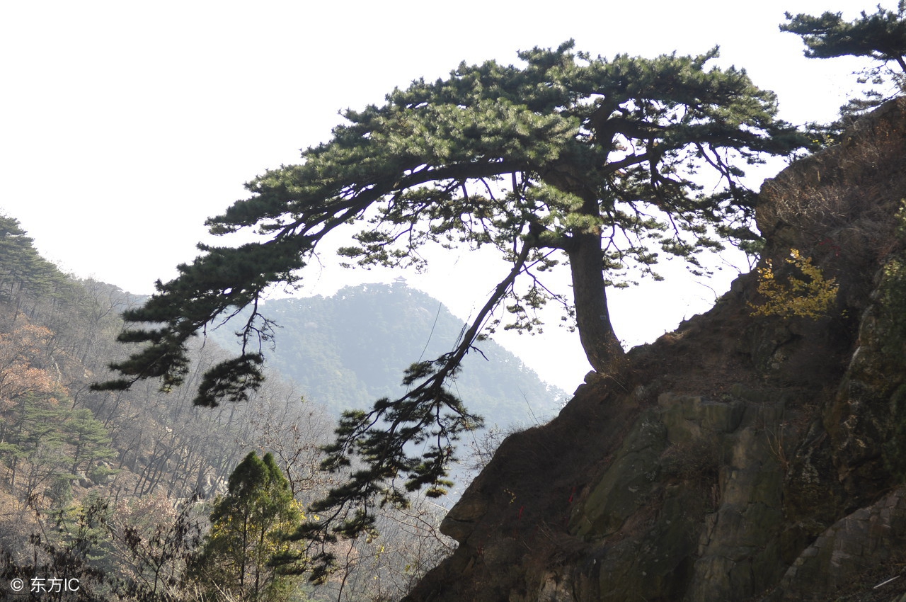 爬五岳爬哪个最贵，嵩山可能是最便宜的！